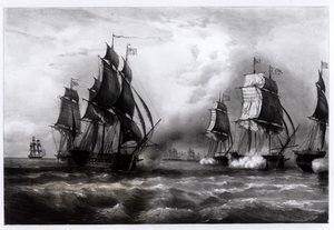Schip 